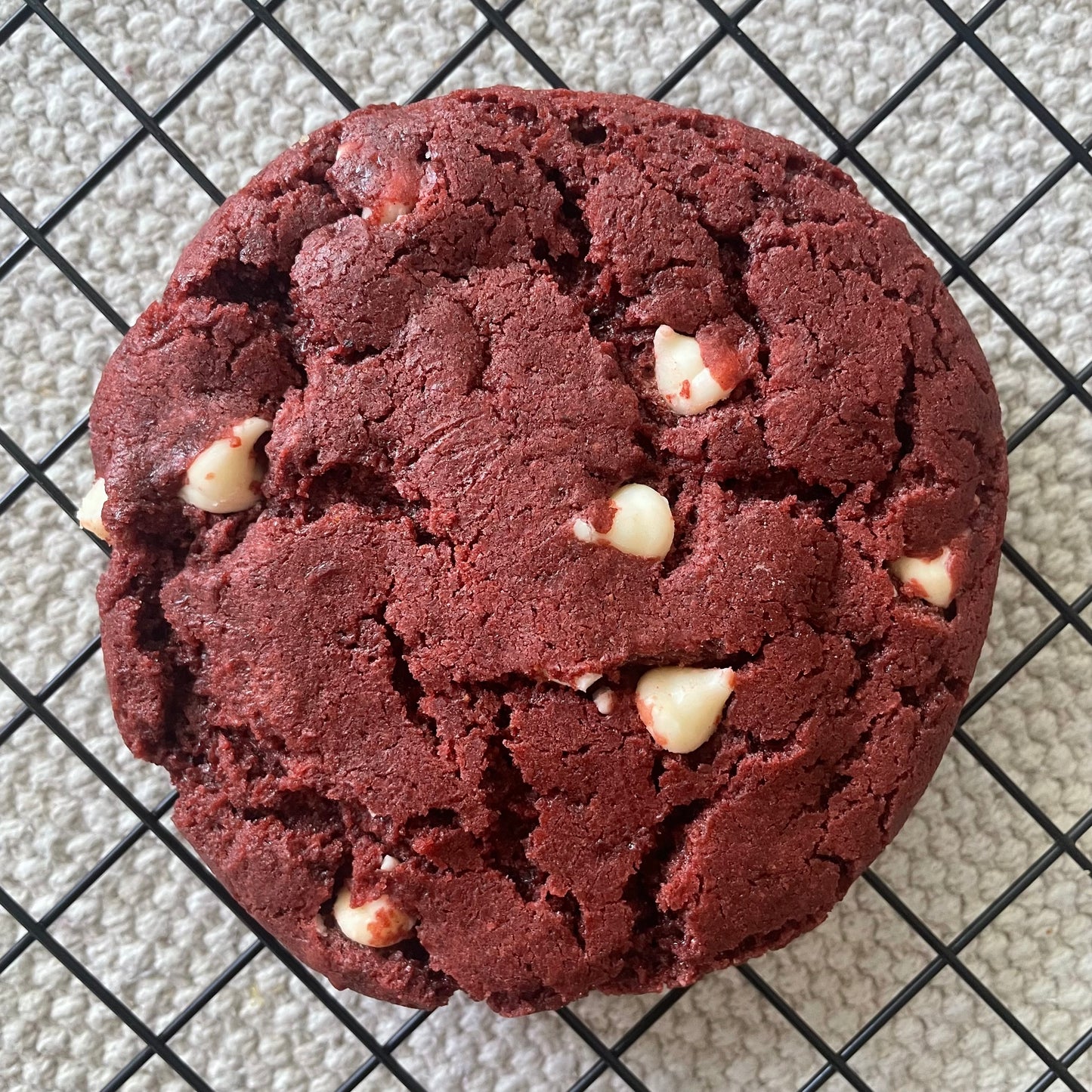 Fall Special Set - 8 Assorted