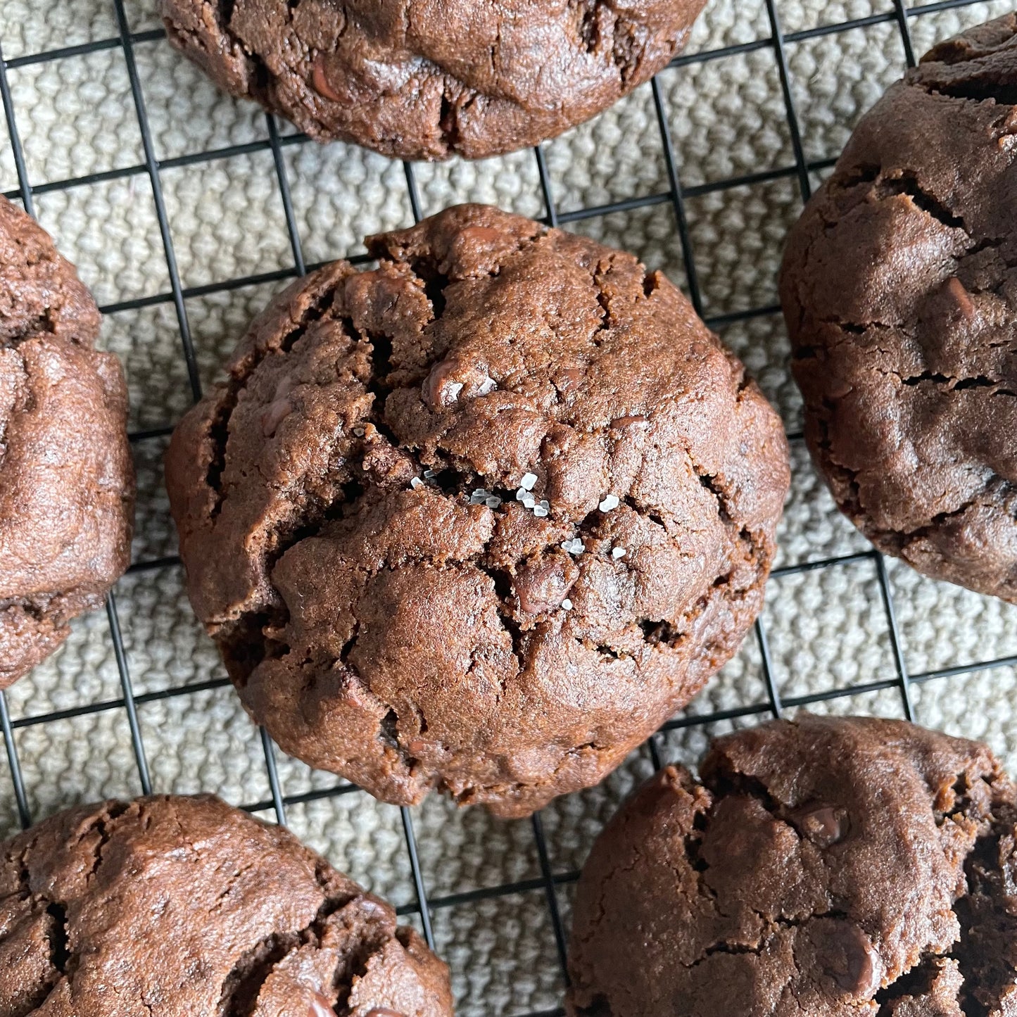 Double Chocolate Chip Cookies