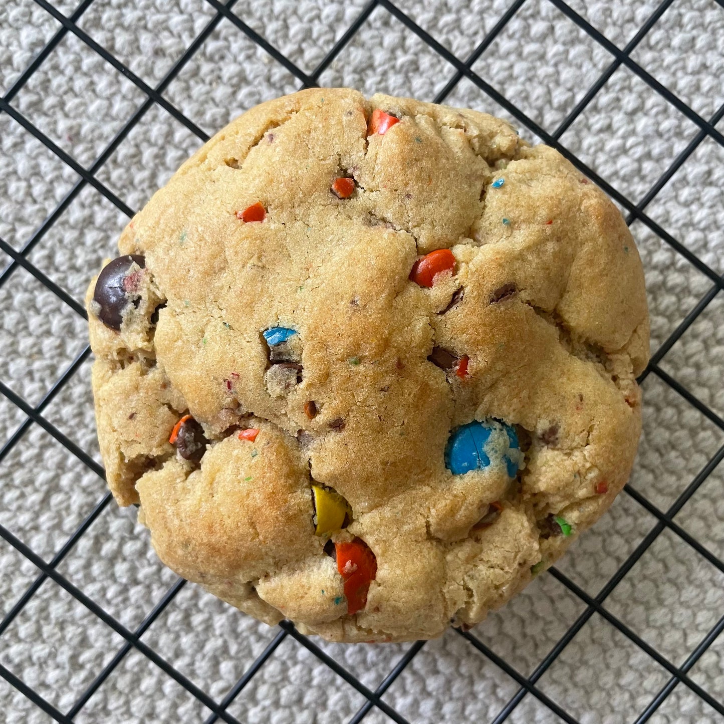 Fall Special Set - 8 Assorted