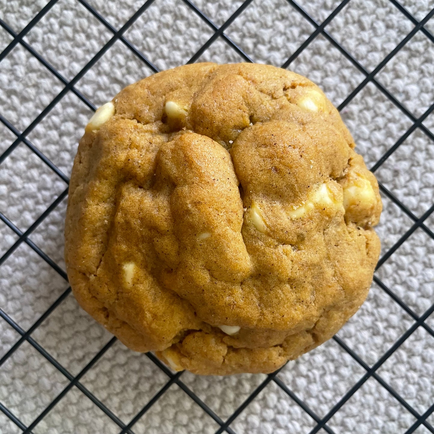 Fall Special Set - 8 Assorted