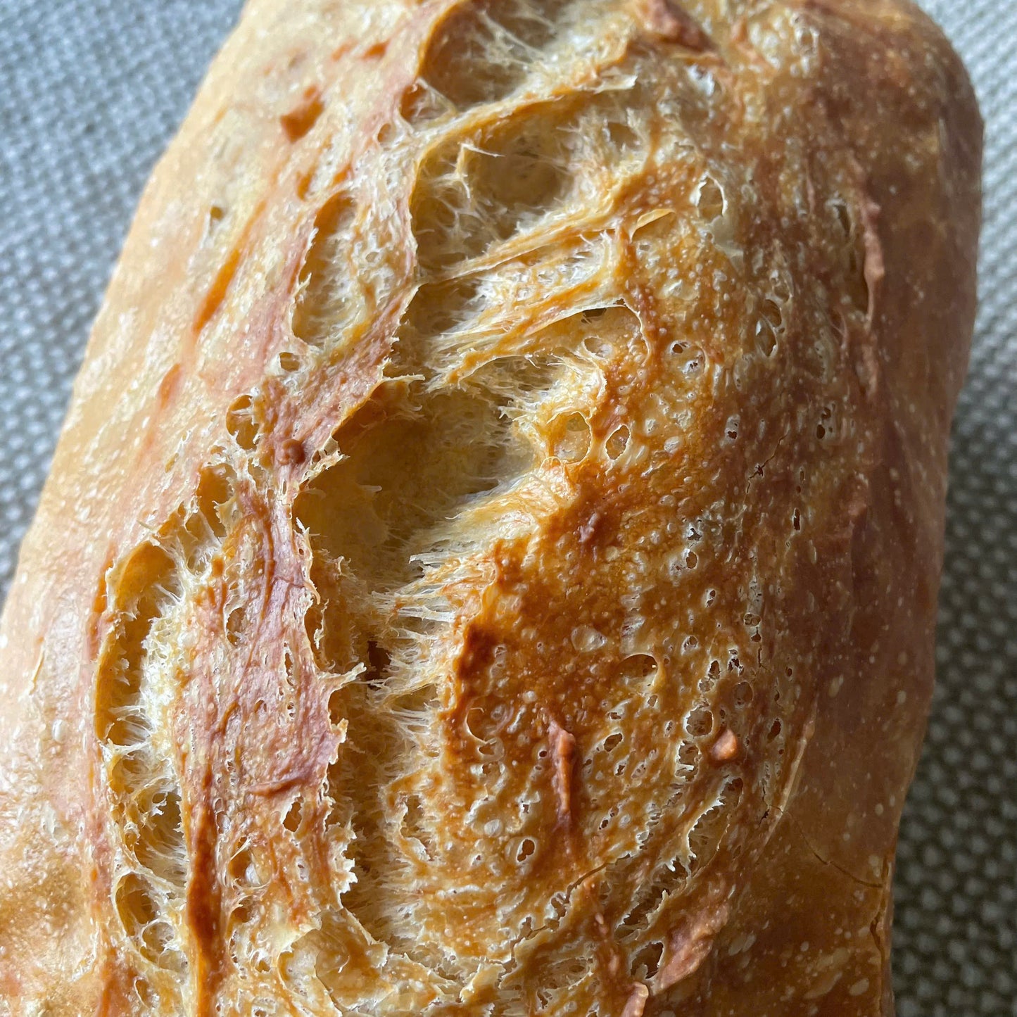 Artisan Plain Yeast Bread