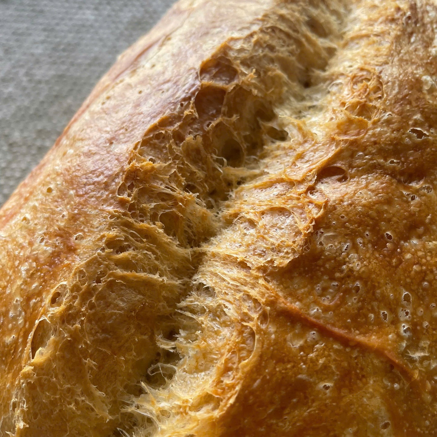 Artisan Plain Yeast Bread
