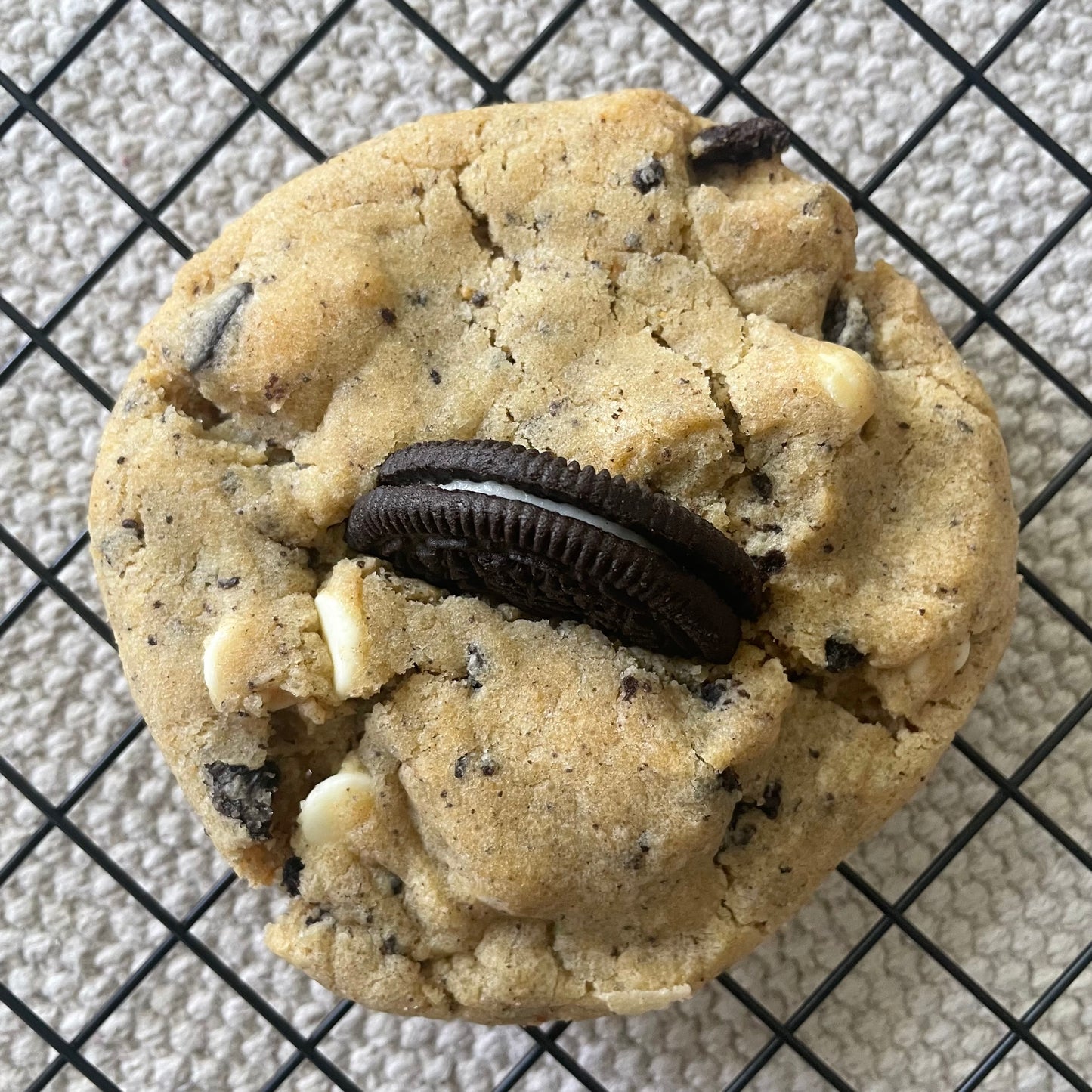 Fall Special Set - 8 Assorted