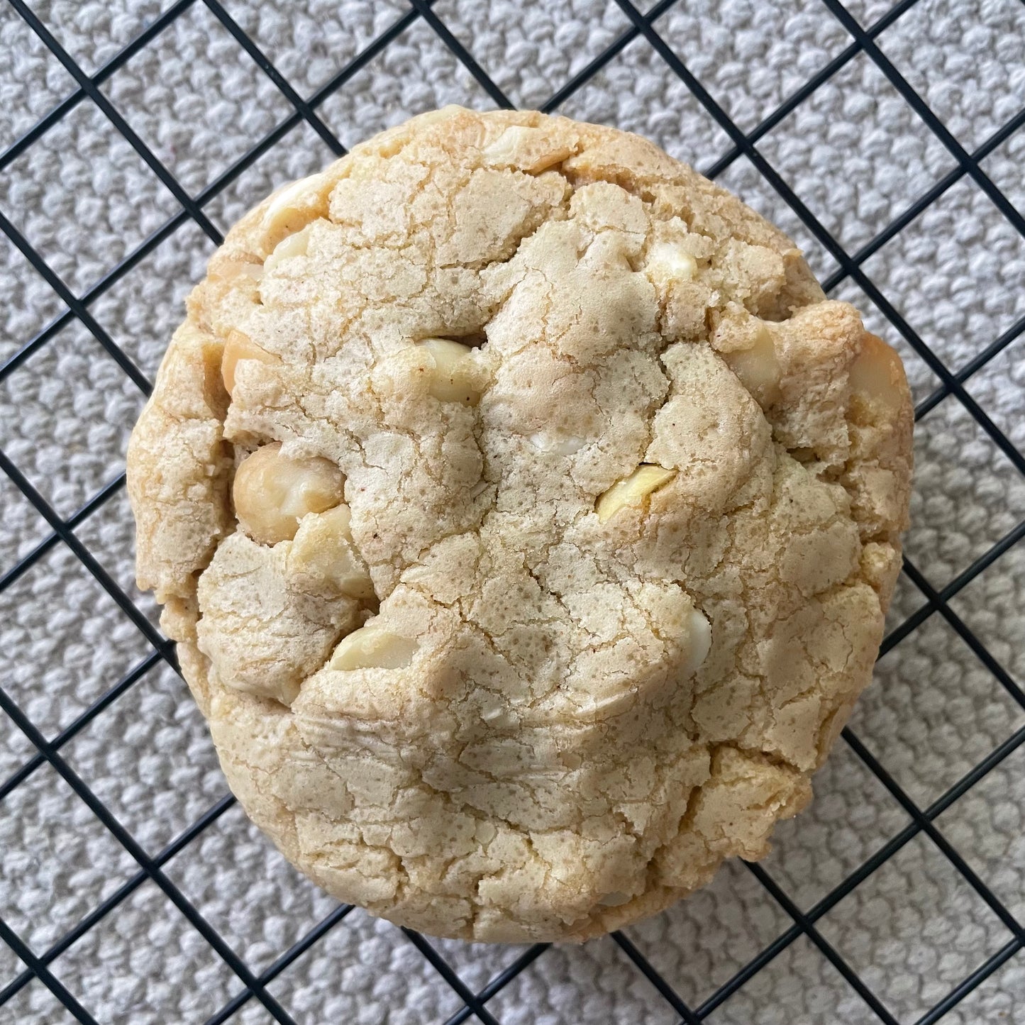 Fall Special Set - 8 Assorted