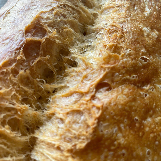 Artisan Plain Yeast Bread