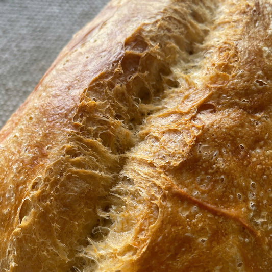 Artisan Plain Yeast Bread